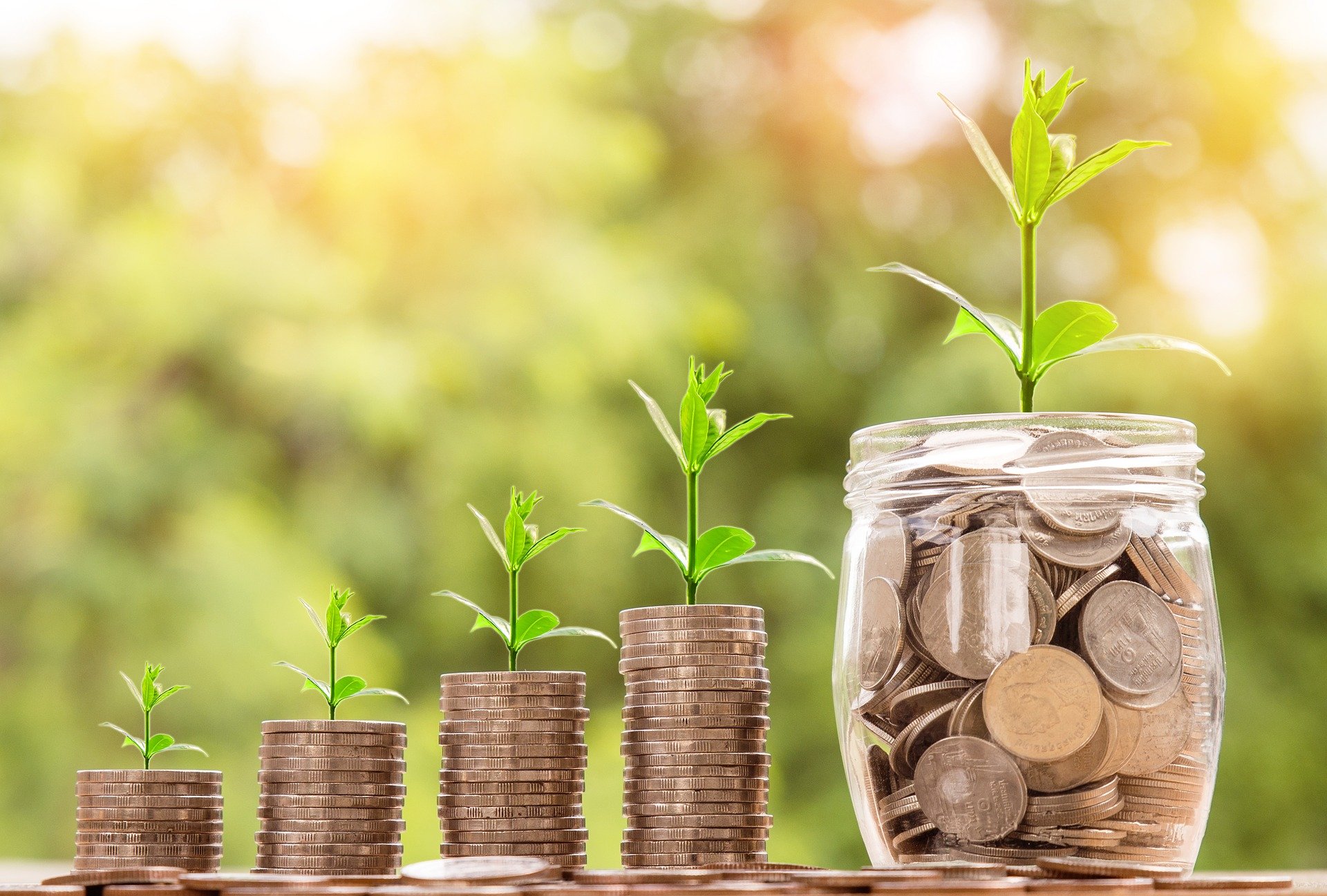 Grafik: aus Geldstücken wächst eine Pflanze, Quelle: pixabay